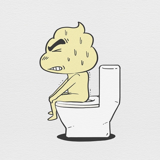便ができる仕組み